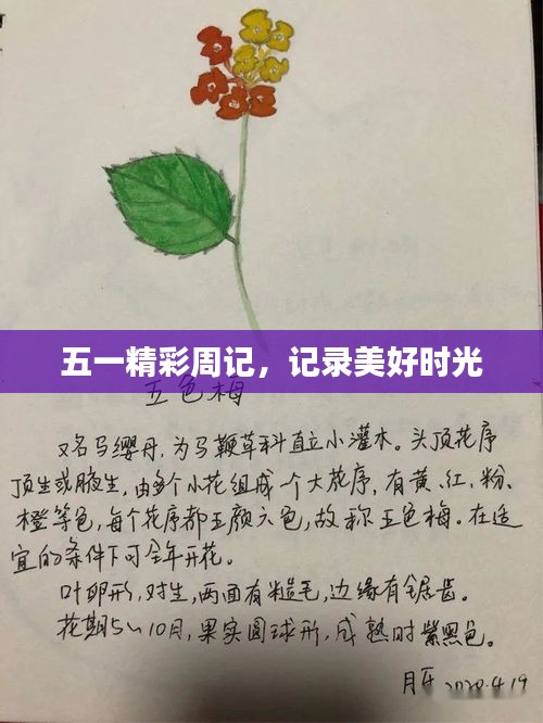 五一精彩周記，記錄美好時光