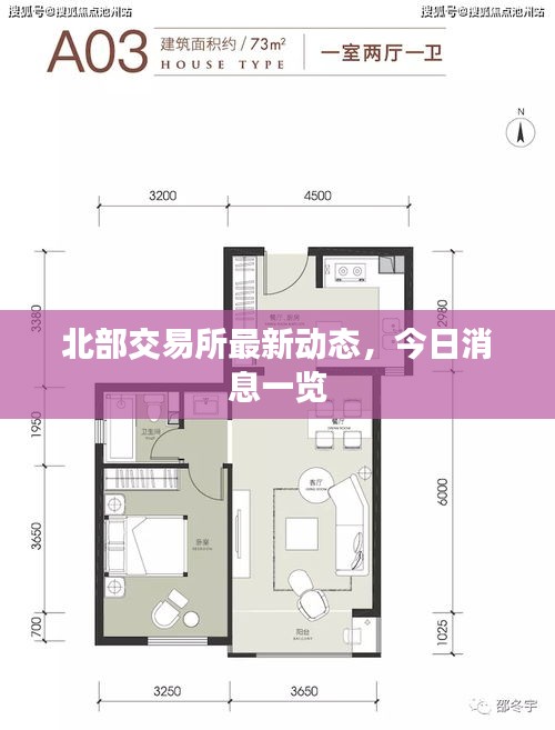北部交易所最新動態(tài)，今日消息一覽