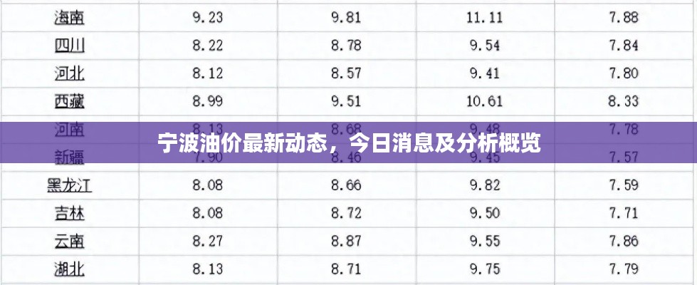 寧波油價(jià)最新動(dòng)態(tài)，今日消息及分析概覽