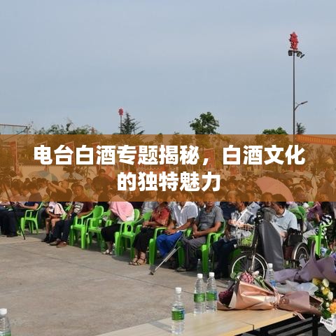 電臺(tái)白酒專題揭秘，白酒文化的獨(dú)特魅力