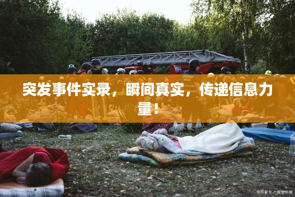 突發(fā)事件實錄，瞬間真實，傳遞信息力量！