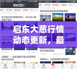 啟東大蔥行情動態(tài)更新，最新消息一網(wǎng)打盡！