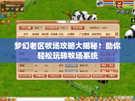 第6頁
