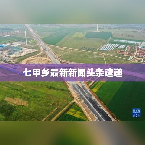 七甲鄉(xiāng)最新新聞頭條速遞
