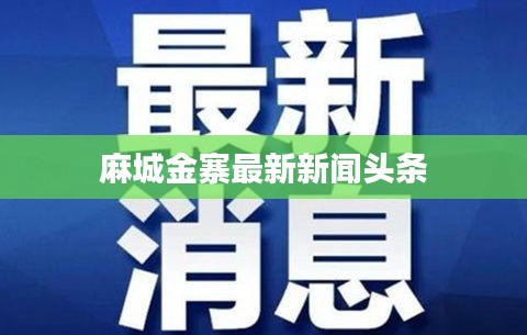 麻城金寨最新新聞?lì)^條