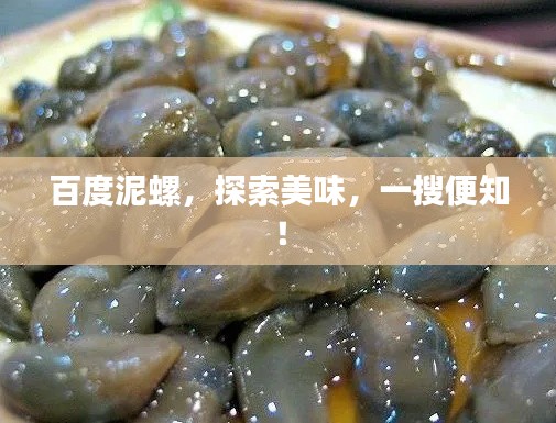 百度泥螺，探索美味，一搜便知！