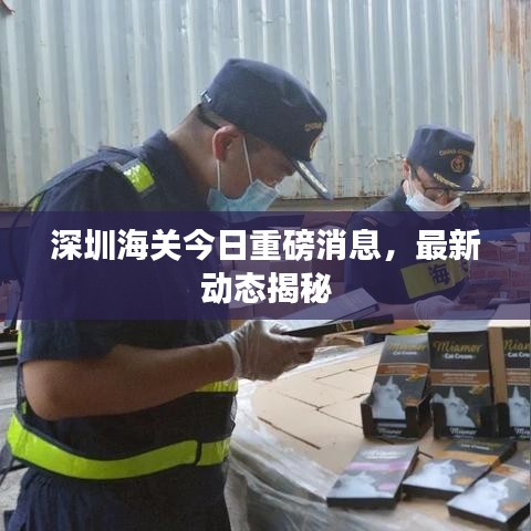 深圳海關(guān)今日重磅消息，最新動態(tài)揭秘