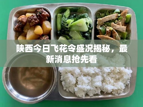 陜西今日飛花令盛況揭秘，最新消息搶先看
