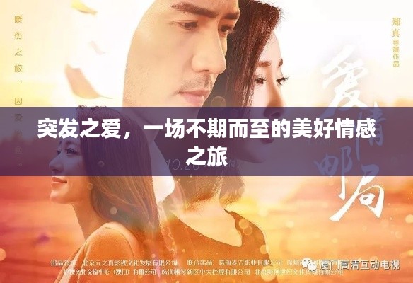 突發(fā)之愛，一場不期而至的美好情感之旅