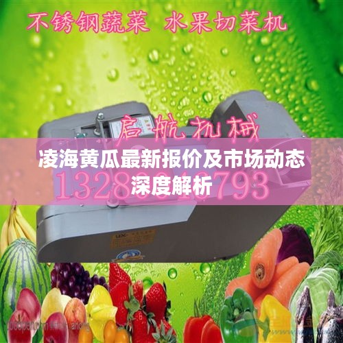 凌海黃瓜最新報(bào)價(jià)及市場(chǎng)動(dòng)態(tài)深度解析