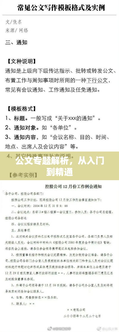 公文專題解析，從入門到精通
